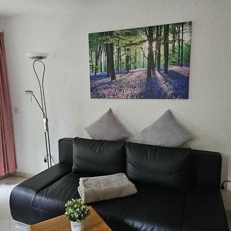 Residenz Schauinsland Todtnauberg - Fewo 17 - Sauna - Spielzimmer Fuer Kinder - Naehe Feldberg מראה חיצוני תמונה