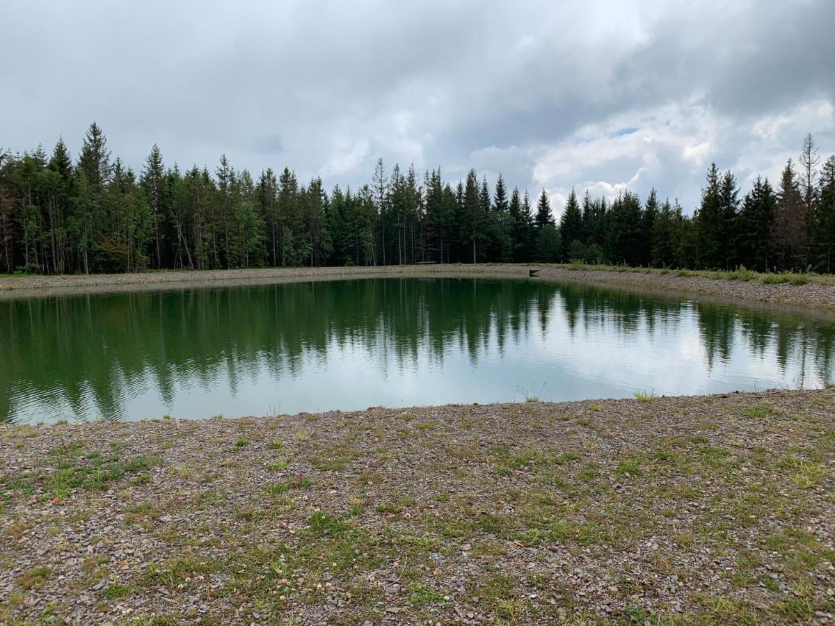 Residenz Schauinsland Todtnauberg - Fewo 17 - Sauna - Spielzimmer Fuer Kinder - Naehe Feldberg מראה חיצוני תמונה