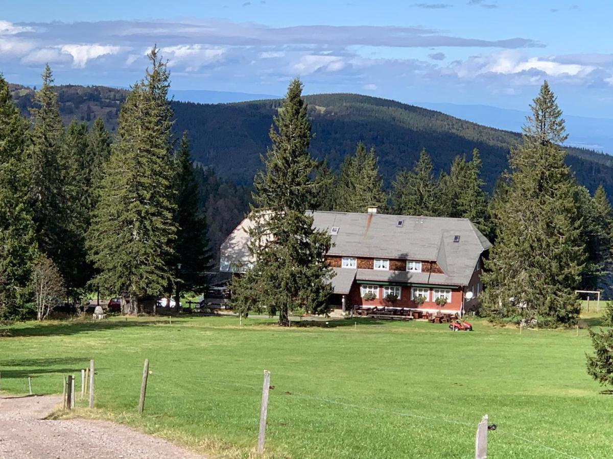 Residenz Schauinsland Todtnauberg - Fewo 17 - Sauna - Spielzimmer Fuer Kinder - Naehe Feldberg מראה חיצוני תמונה
