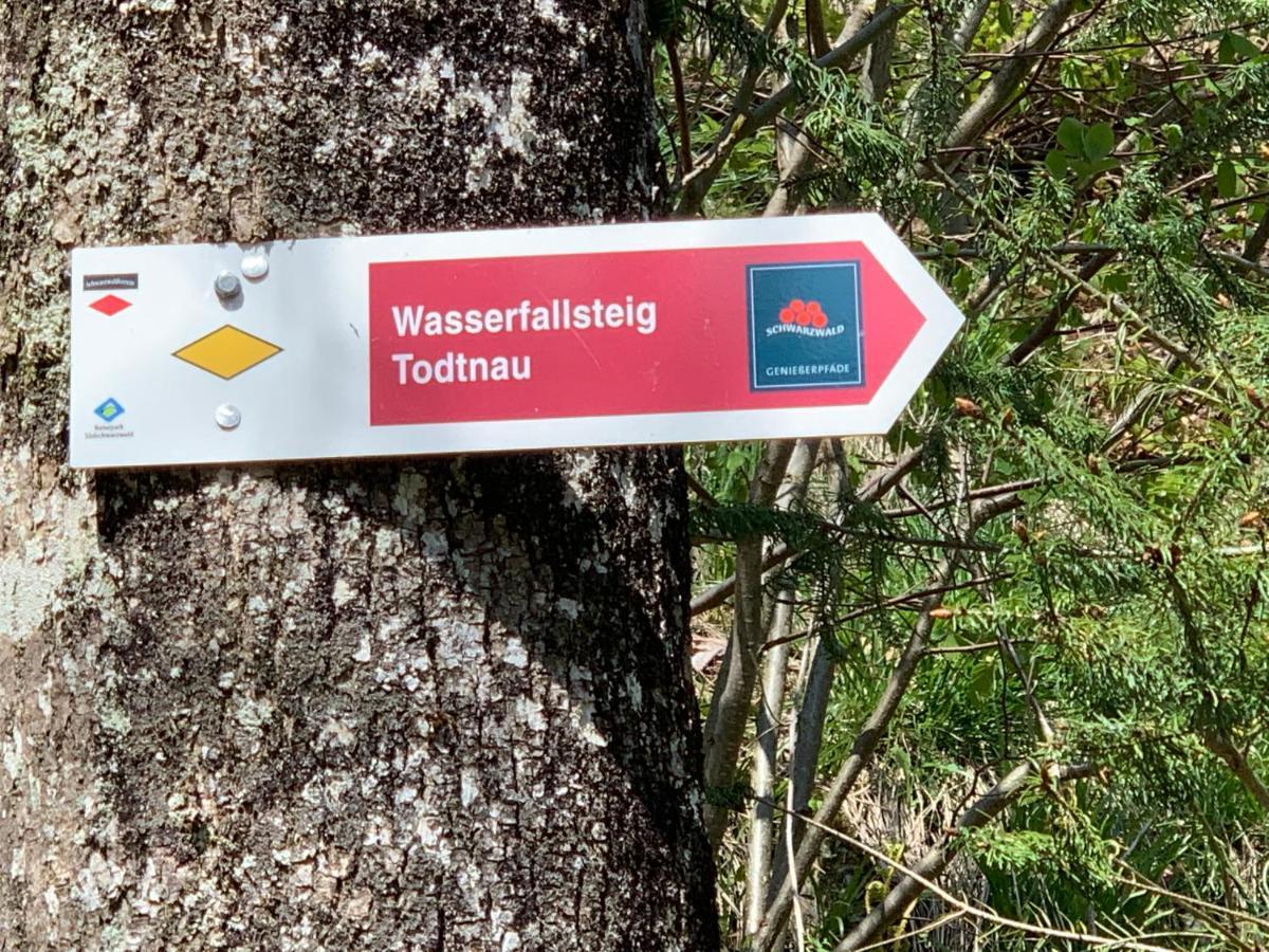 Residenz Schauinsland Todtnauberg - Fewo 17 - Sauna - Spielzimmer Fuer Kinder - Naehe Feldberg מראה חיצוני תמונה