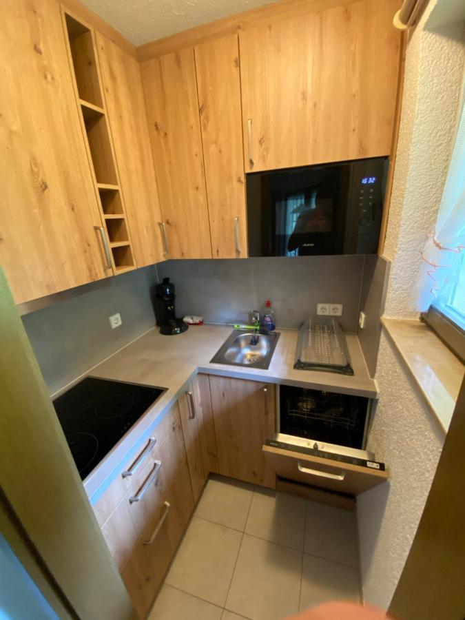Residenz Schauinsland Todtnauberg - Fewo 17 - Sauna - Spielzimmer Fuer Kinder - Naehe Feldberg מראה חיצוני תמונה